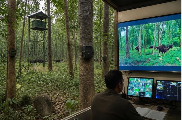 Debrigarh Wildlife Sanctuary Strengthens Protection With AI Tower, 18 Smart Camera Traps